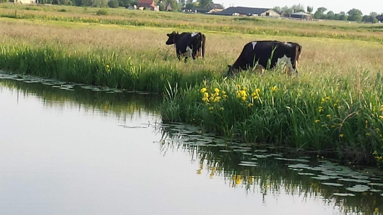 Het Kraaienbosch Bed & Breakfast Zegveld Eksteriør bilde