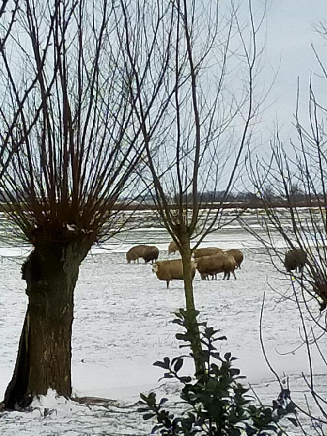 Het Kraaienbosch Bed & Breakfast Zegveld Eksteriør bilde